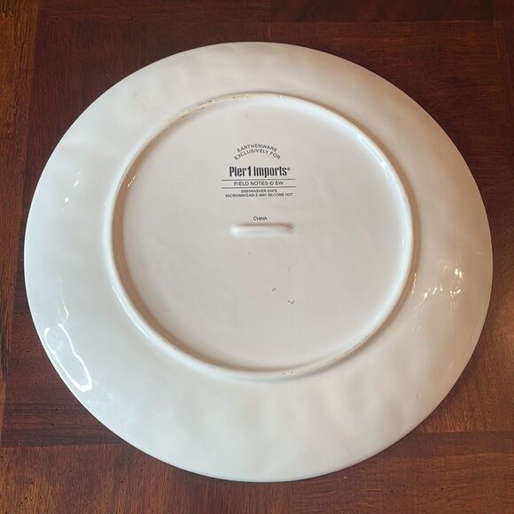 Spring Bird and Robin Eggs 11" Platter Dinner Plate Pier 1 Imports - Picture 4 of 6